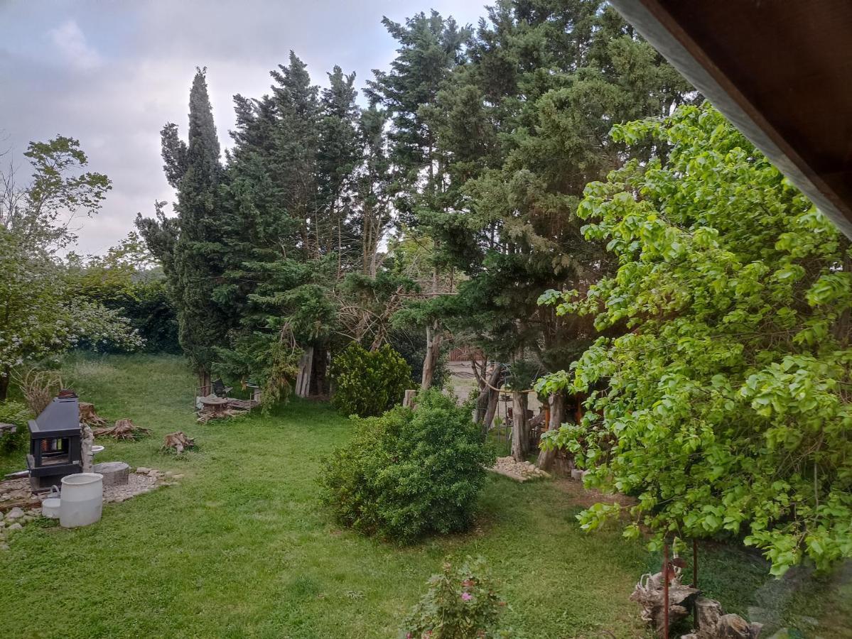 Un Jardin Sur La Colline Apartment Claveyson Exterior foto